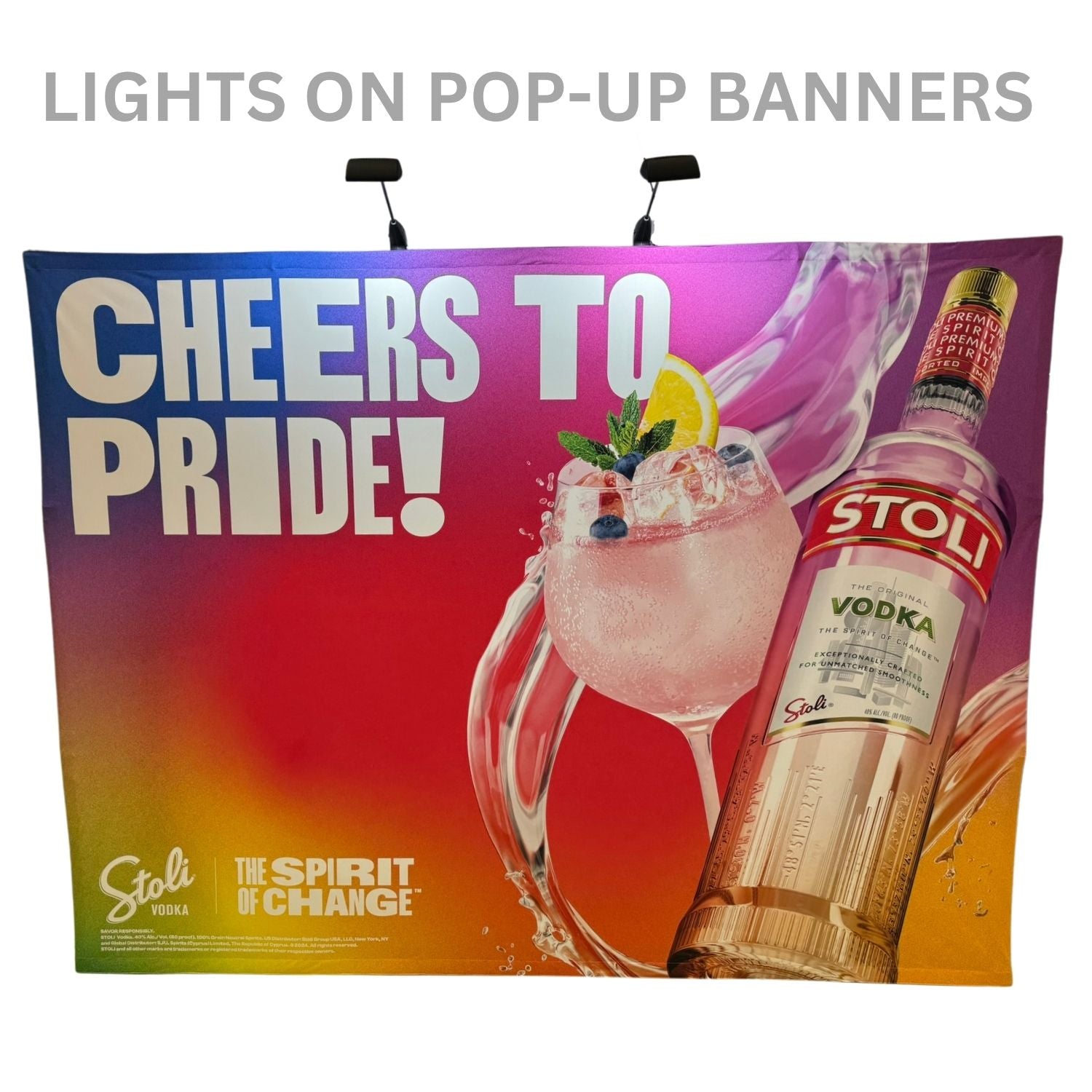 LED Flood Display Light